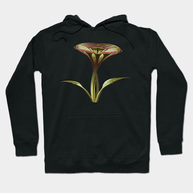 Weird Fantasy Flower - Pitcher Plant Hoodie by CursedContent